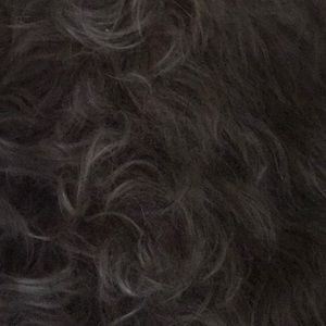 Meet your Posher, Paula